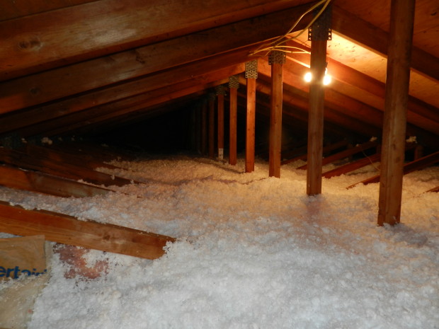 insulation day-11July14-23